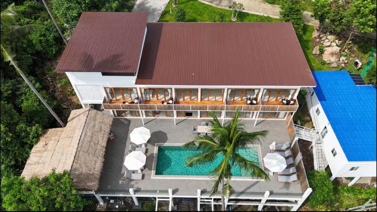 8 Bedroom Monkey 101