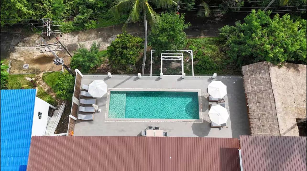 8 Bedroom Monkey 101 Aparthotel
